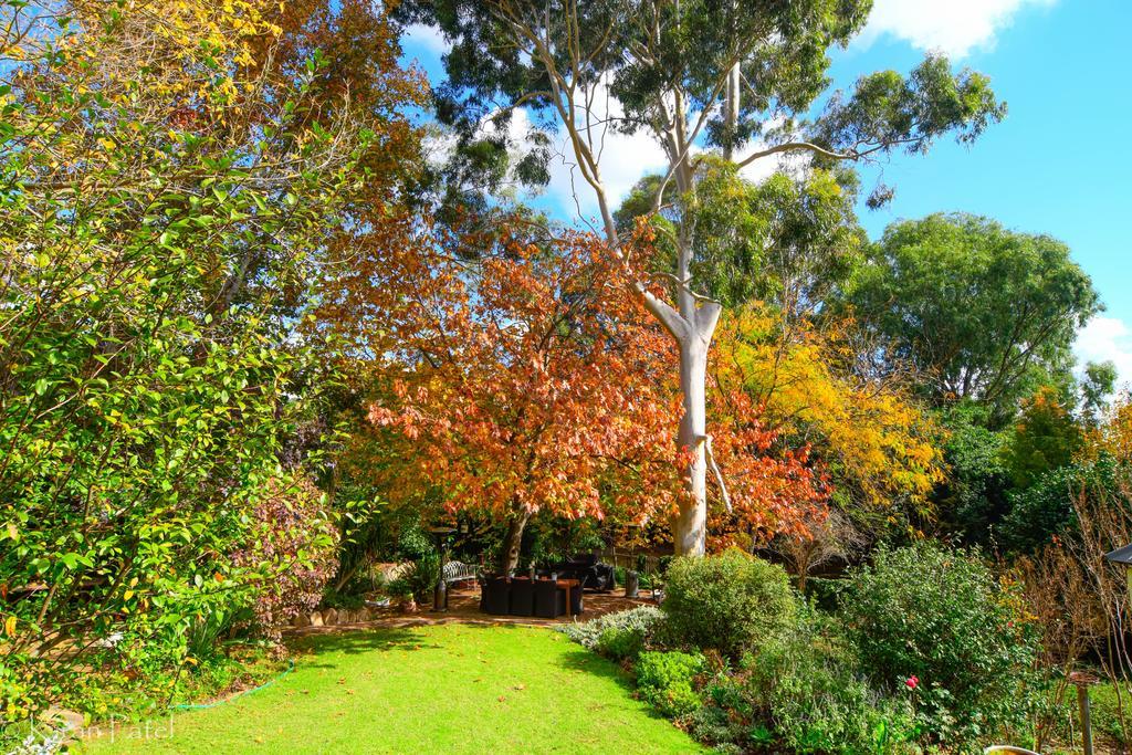 Possum Creek Lodge Gooseberry Hill Exteriör bild